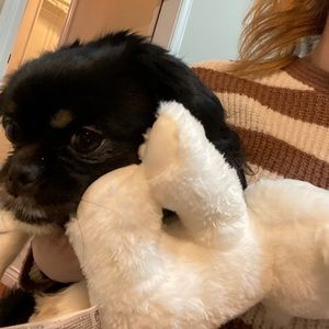 Meet your Posher, Marissa